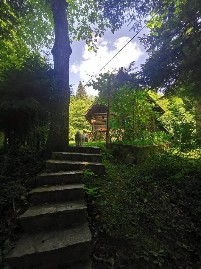 Vila Fani, Kostel - Vacation House Pr' Vili Fani ภายนอก รูปภาพ